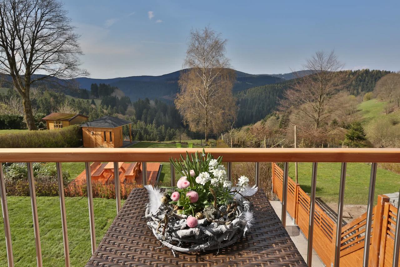 Landhaeuser Bergwiese - Ferienhaus Hoehenblick Sankt Andreasberg Exterior photo